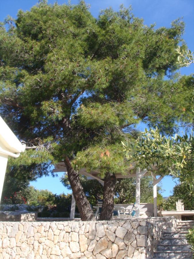 Beach House Blue Lagoon Okrug Gornji Extérieur photo